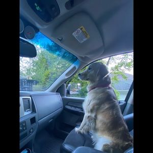 Meet your Posher, Andrew